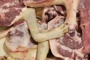 🚨😨 Autoridades investigan impactante hallazgo relacionado con venta ilegal de carne