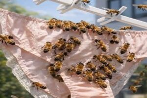 🐝 Abejas en tu ropa: ¿Señal del destino o simplemente ciencia? Descubre por qué sucede y cómo evitar picaduras