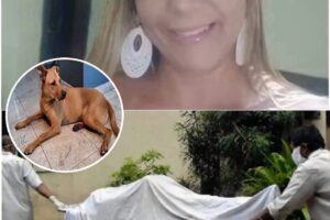 Mujer hospitalizada tras presunto caso relacionado con un perro: autoridades investigan