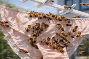 ¿Por qué las abejas se posan sobre la ropa? La explicación científica