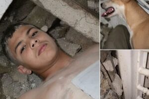 ¿Un joven fue encontrado con vida después de 336 horas bajo los escombros? La verdad detrás de la imagen viral